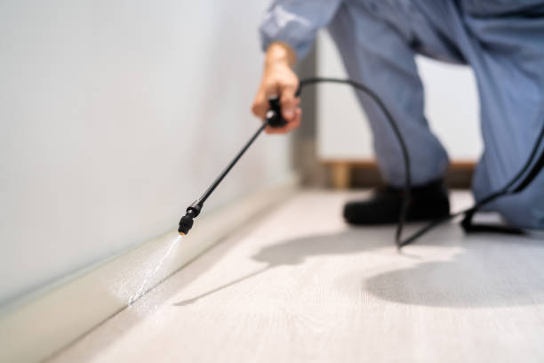 Professional exterminator conducting IPM assessment in Buhl