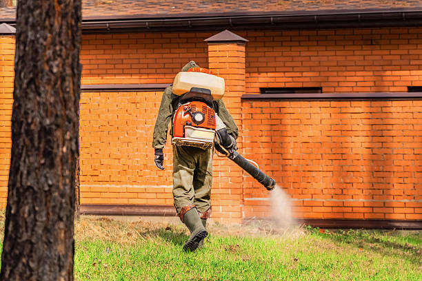 Top rated local Wasp Removal specialists in Buhl, ID